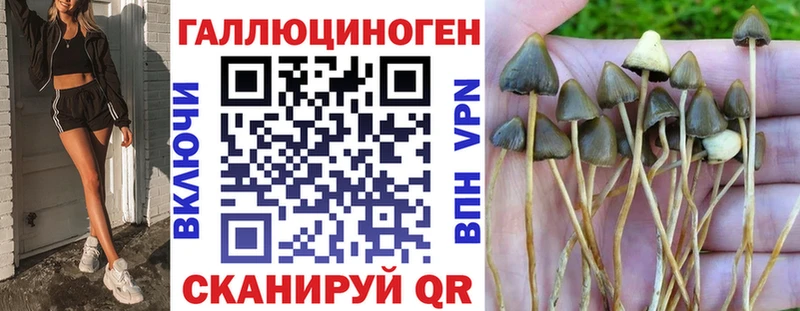 Галлюциногенные грибы GOLDEN TEACHER  Липки 